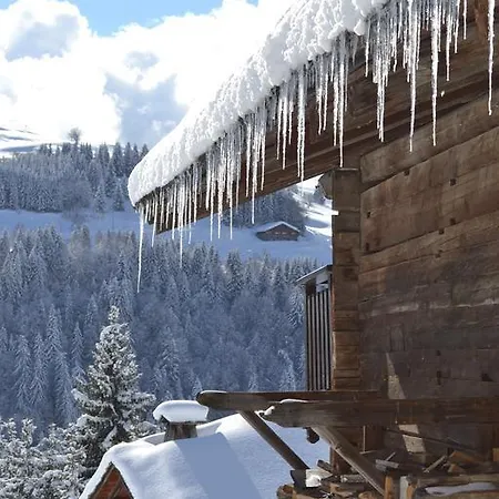 Flocon Appartement *